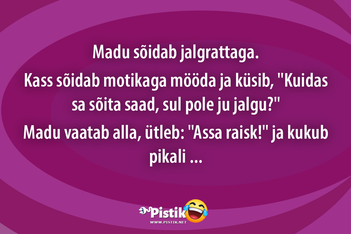 Madu sõidab jalgrattaga.Kass sõidab motikaga mööda ja k ...