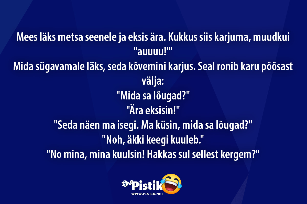 Mees läks metsa seenele ja eksis ära. Kukkus siis karju ...