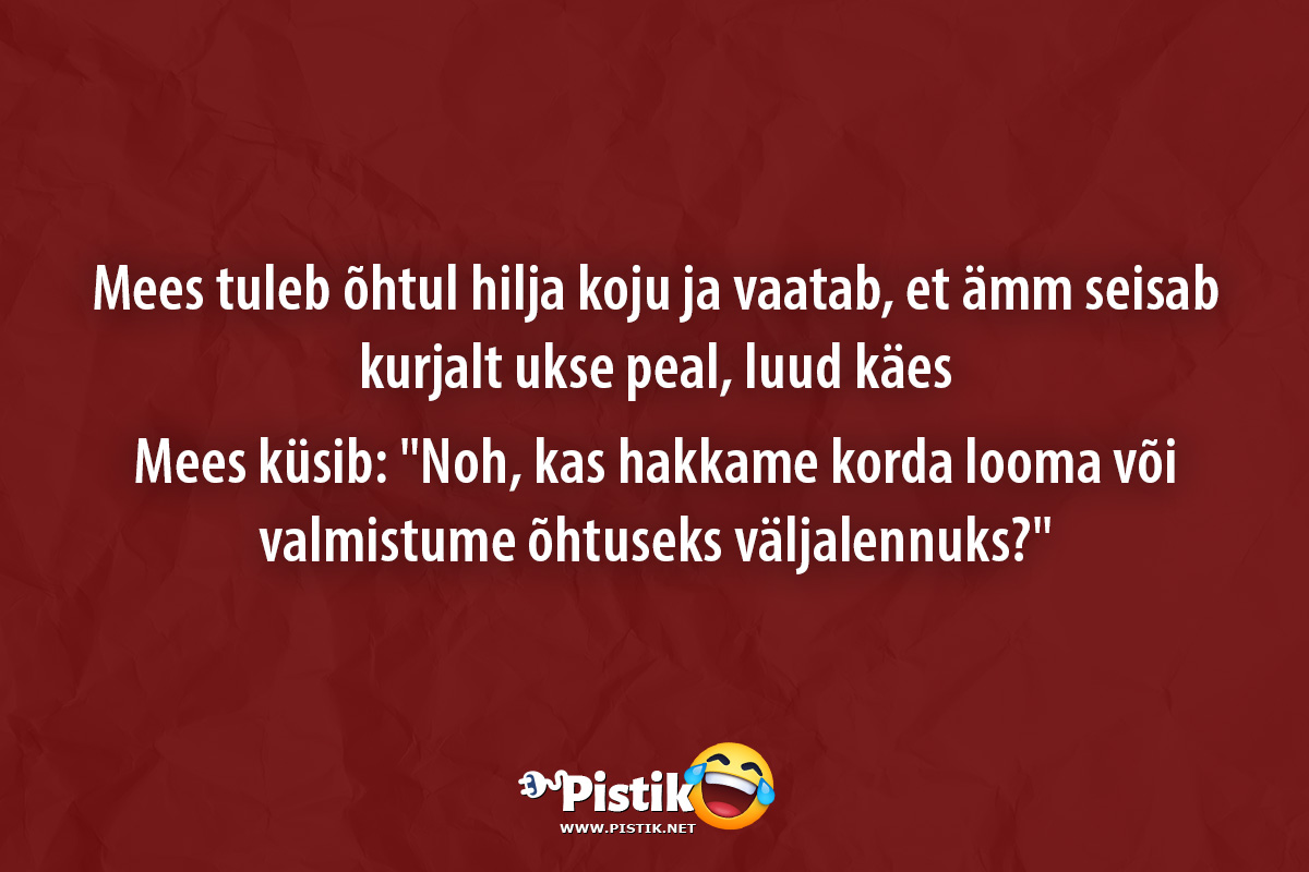 Mees tuleb õhtul hilja koju ja vaatab, et ämm seisab ku ...