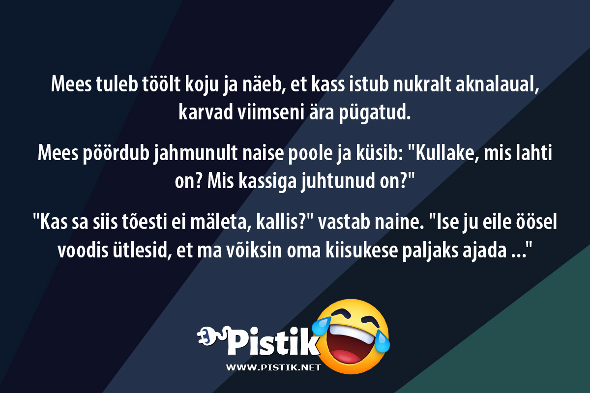 Mees tuleb töölt koju ja näeb, et kass istub nukralt ak ...