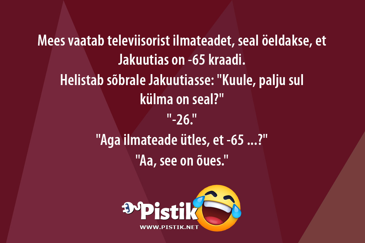 Mees vaatab televiisorist ilmateadet, seal öeldakse, et ...