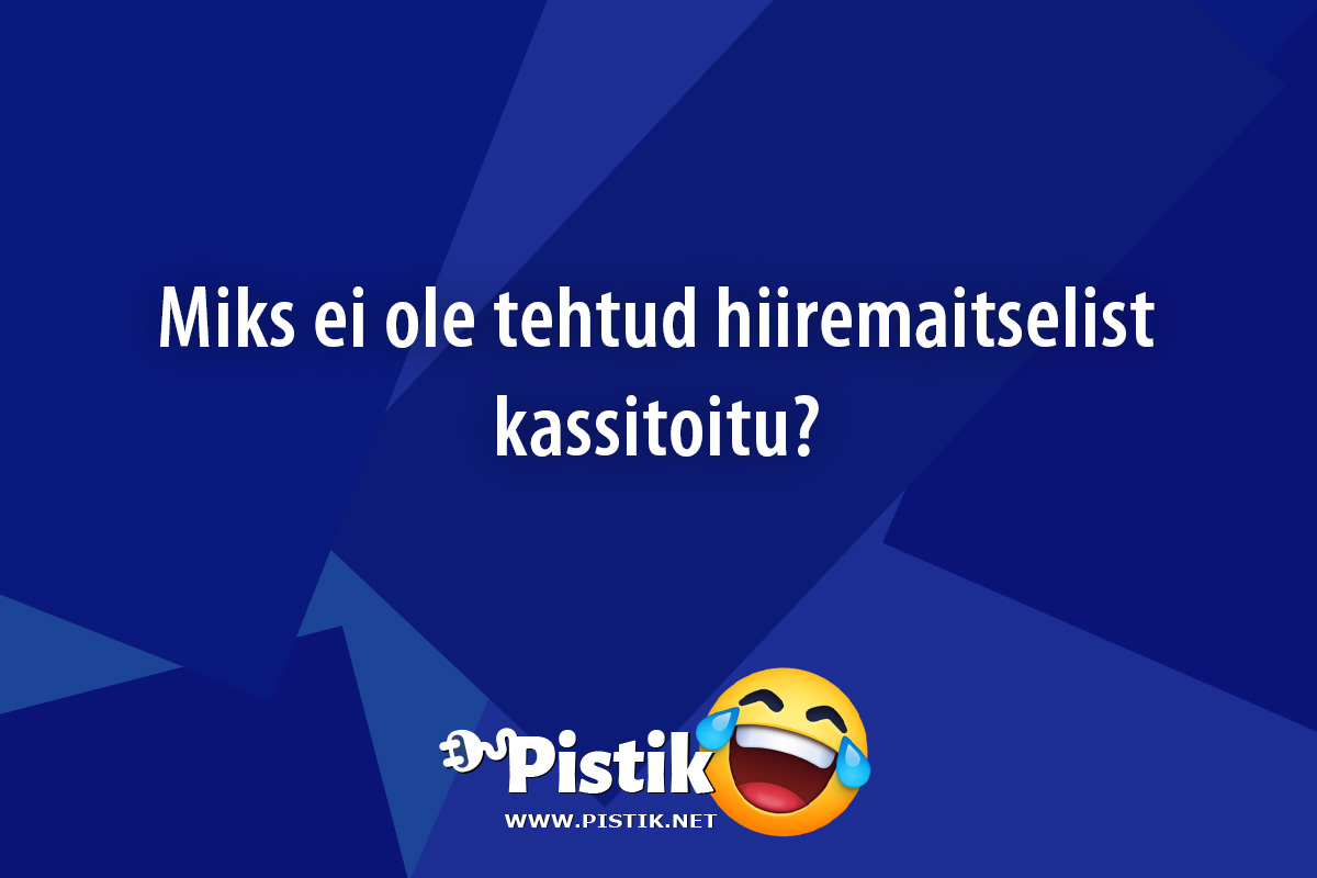 Miks ei ole tehtud hiiremaitselist kassitoitu? ...