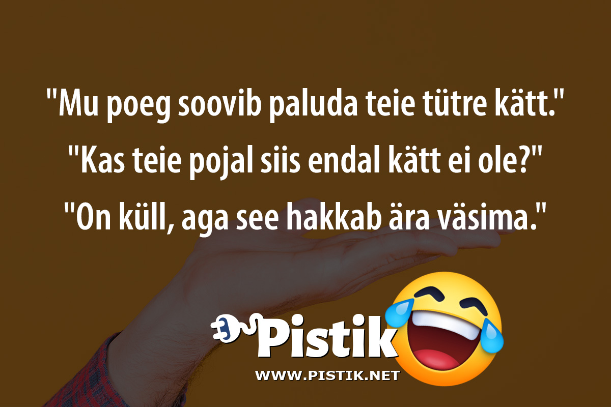  Mu poeg soovib paluda teie tütre kätt. Kas teie ...