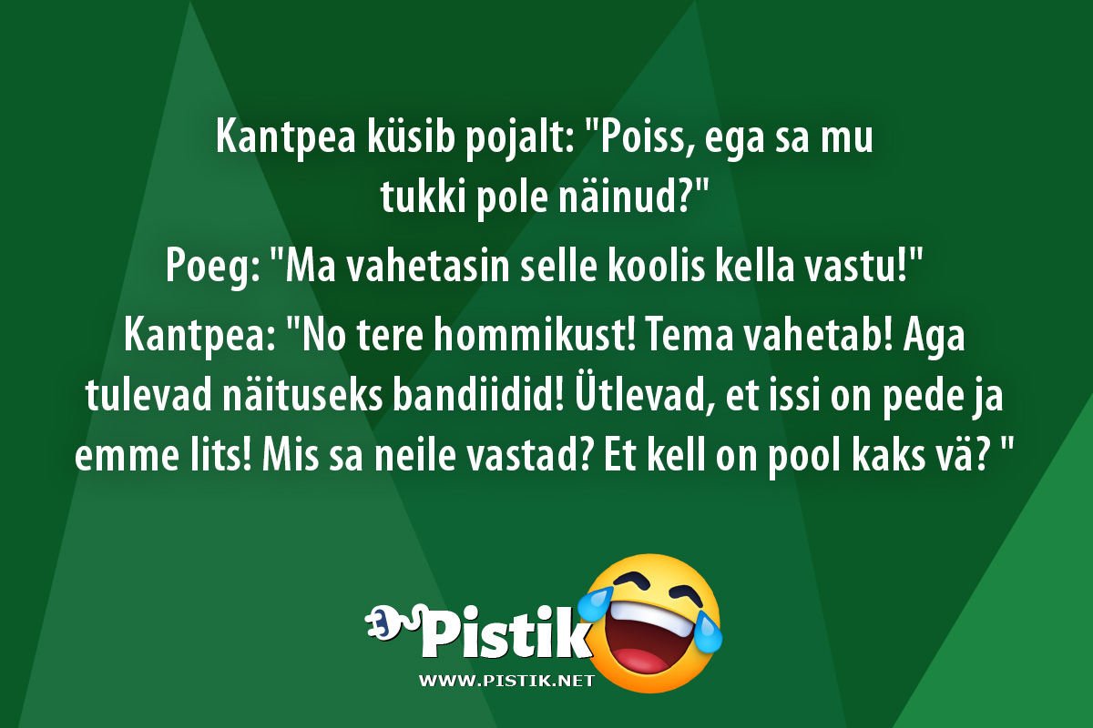 Kantpea küsib pojalt: Poiss, ega sa mu tukki pole näin ...