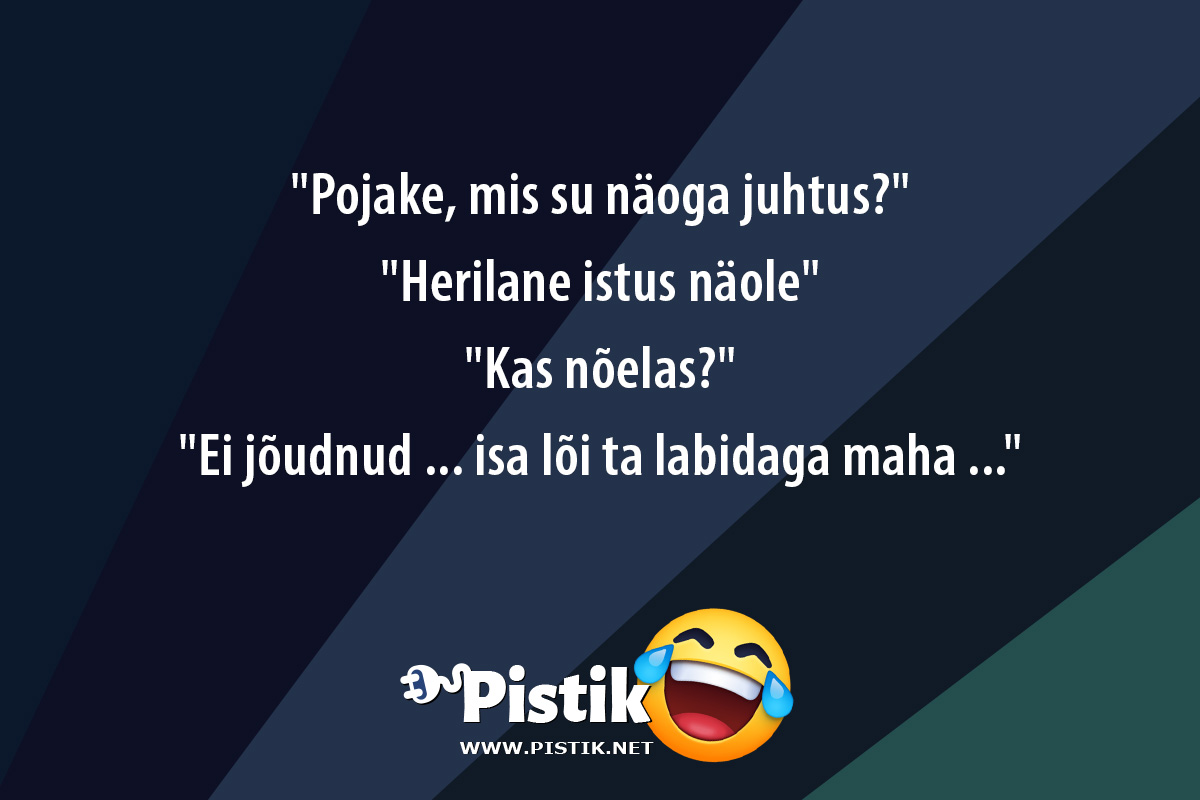  Pojake, mis su näoga juhtus? Herilane istus näo ...