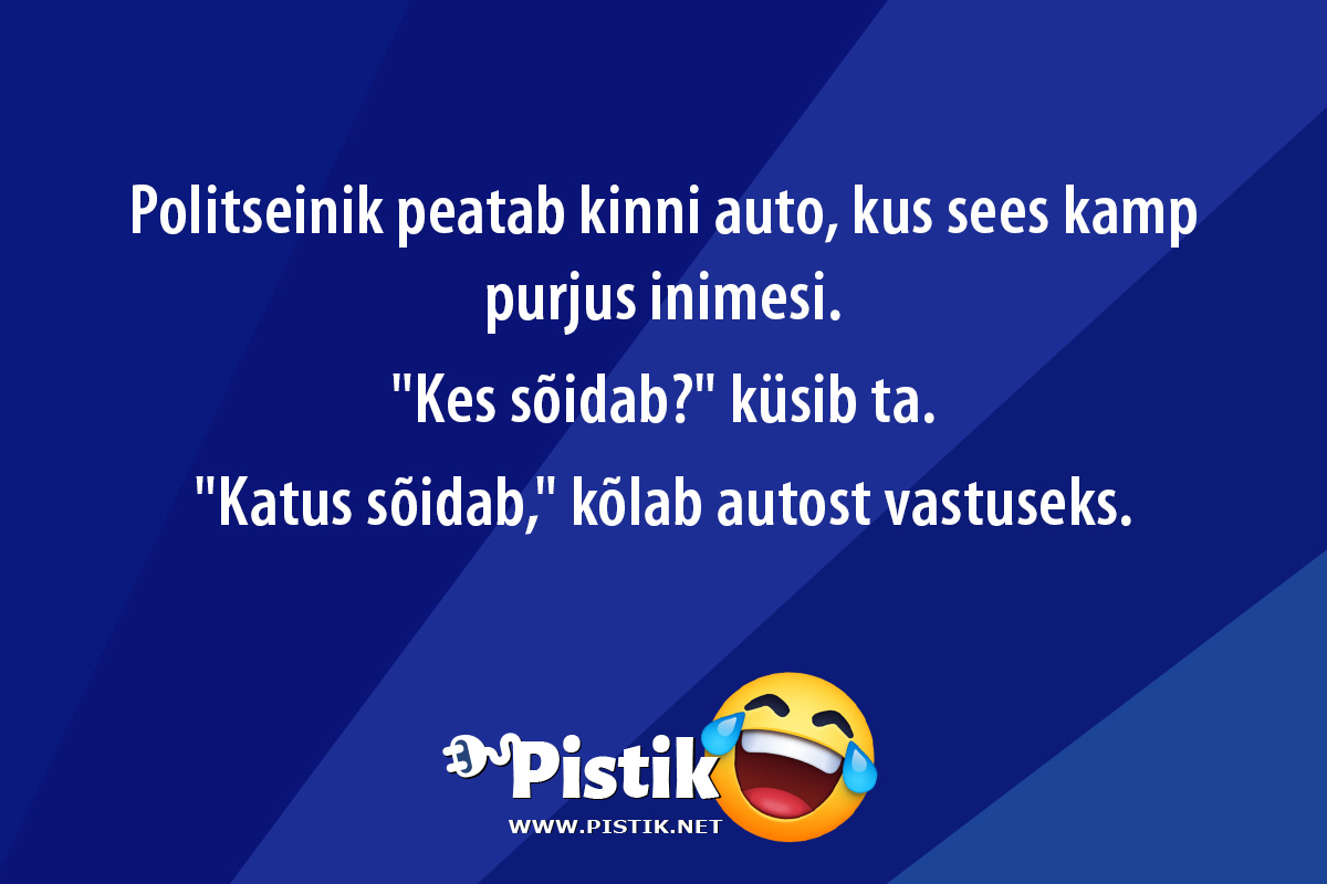 Politseinik peatab kinni auto, kus sees kamp purjus ini ...