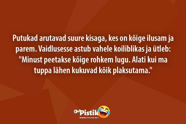 Putukad arutavad suure kisaga, kes on kõige ilusam ja p ... Putukad arutavad suure kisaga, kes on kõige ilusam ja p ...
