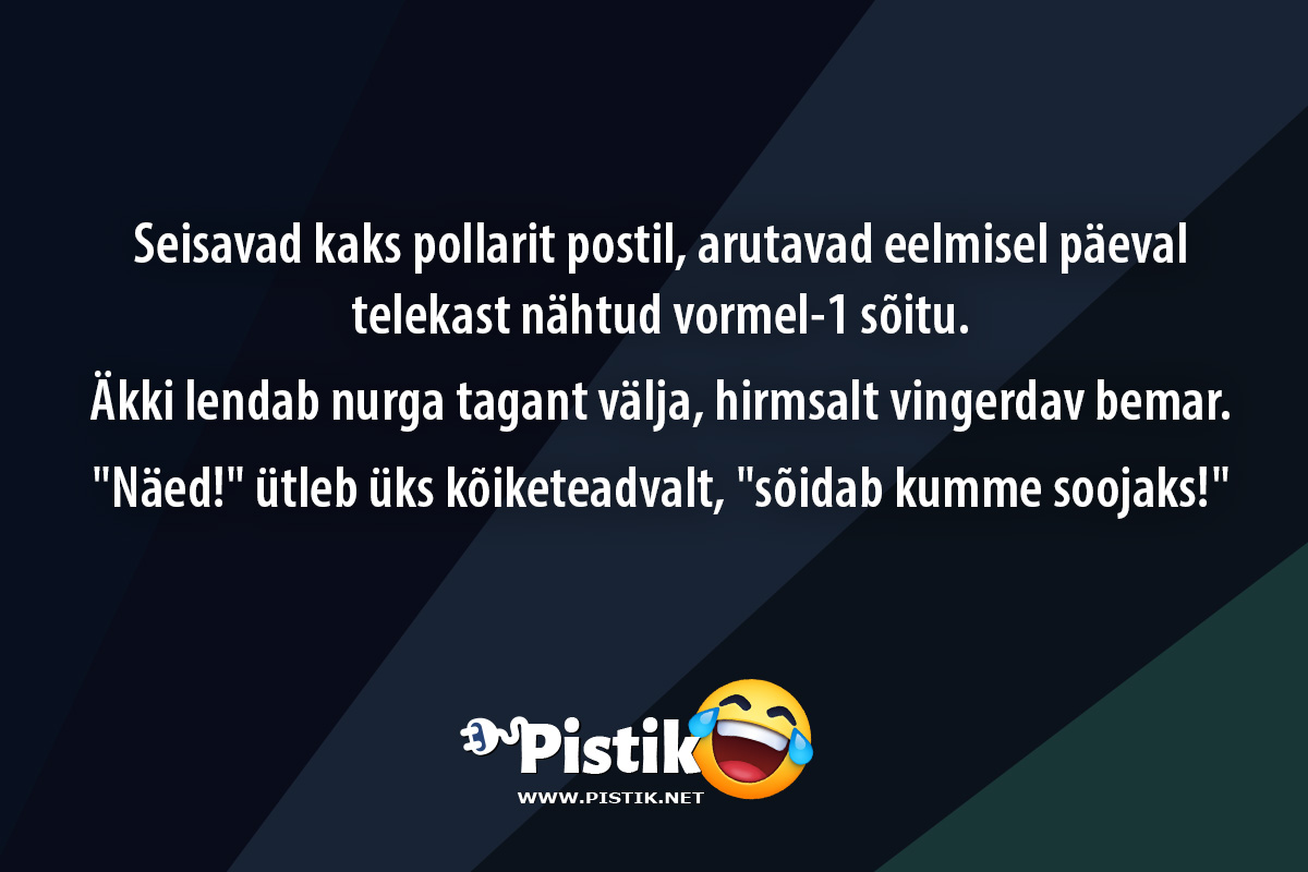 Seisavad kaks pollarit postil, arutavad eelmisel päeval ...