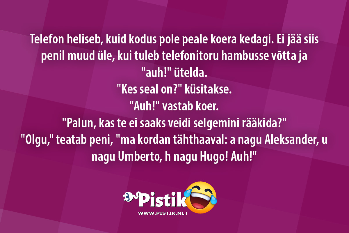 Telefon heliseb, kuid kodus pole peale koera kedagi. Ei ...