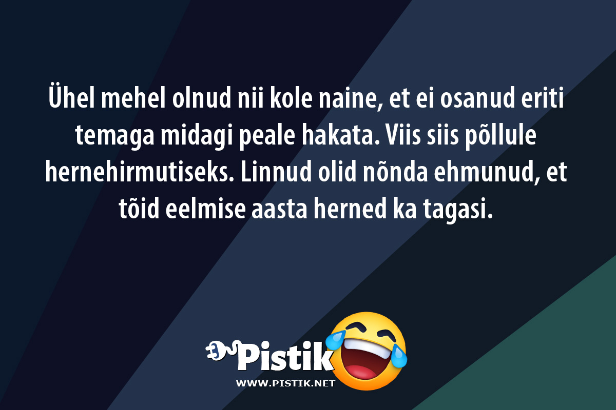 Ühel mehel olnud nii kole naine, et ei osanud eriti tem ...