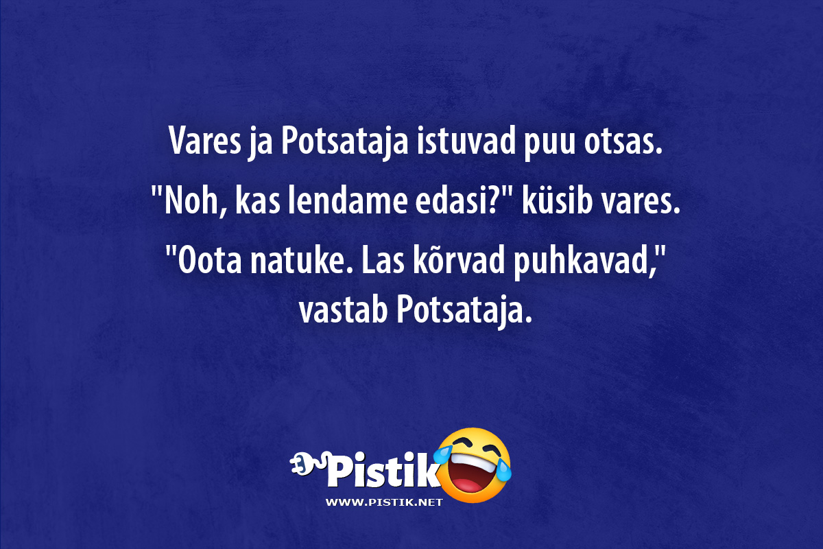 Vares ja Potsataja istuvad puu otsas. Noh, kas le ...