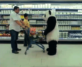 Märatsev panda