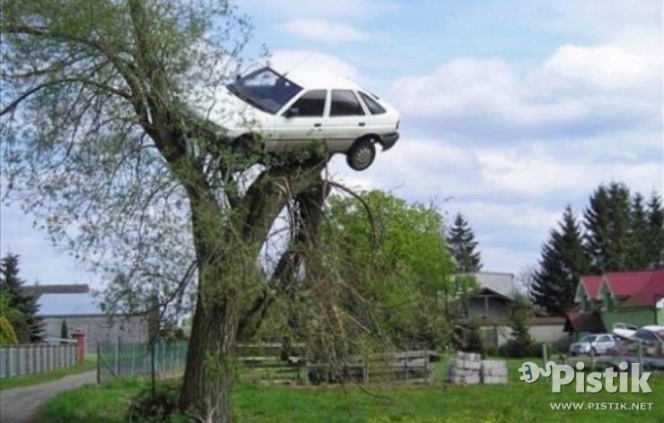 Huvitav kas see auto sõitis puu otsa