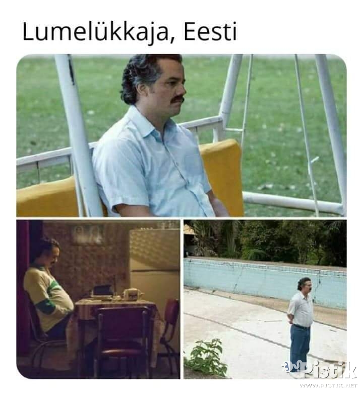 Lumelükkaja Eestis