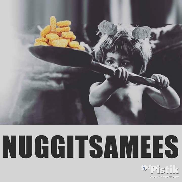 Nuggitsamees