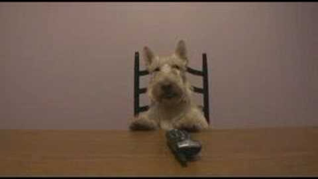 Video e-kaart Scottie Tails: My Date with Barney, the First Dog
