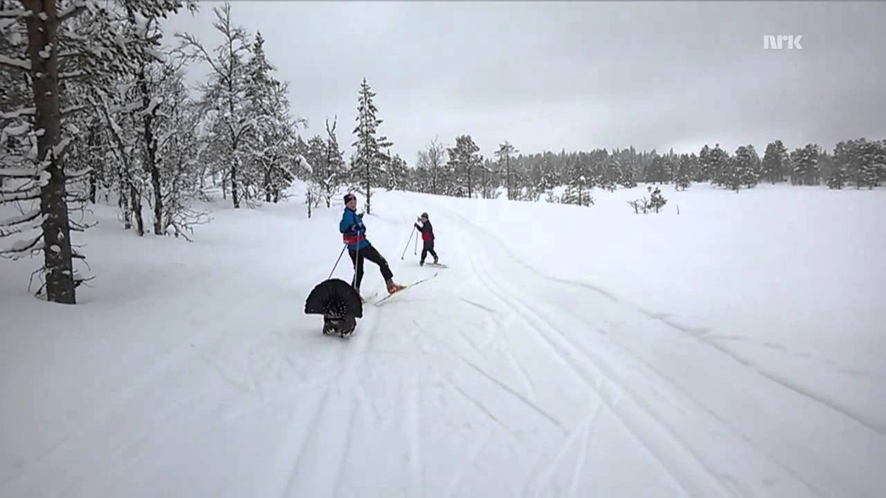 Video e-kaart Suusasport pole lihtne sport