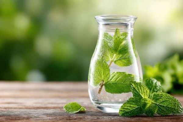 Kevadine detoks algab puhtast joogiveest: kuidas puhas joogivesi toetab vitaalsust?