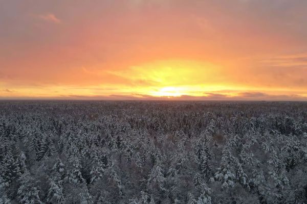Vestman Grupp – kestlikud lahendused maa ja looduse väärtustamiseks