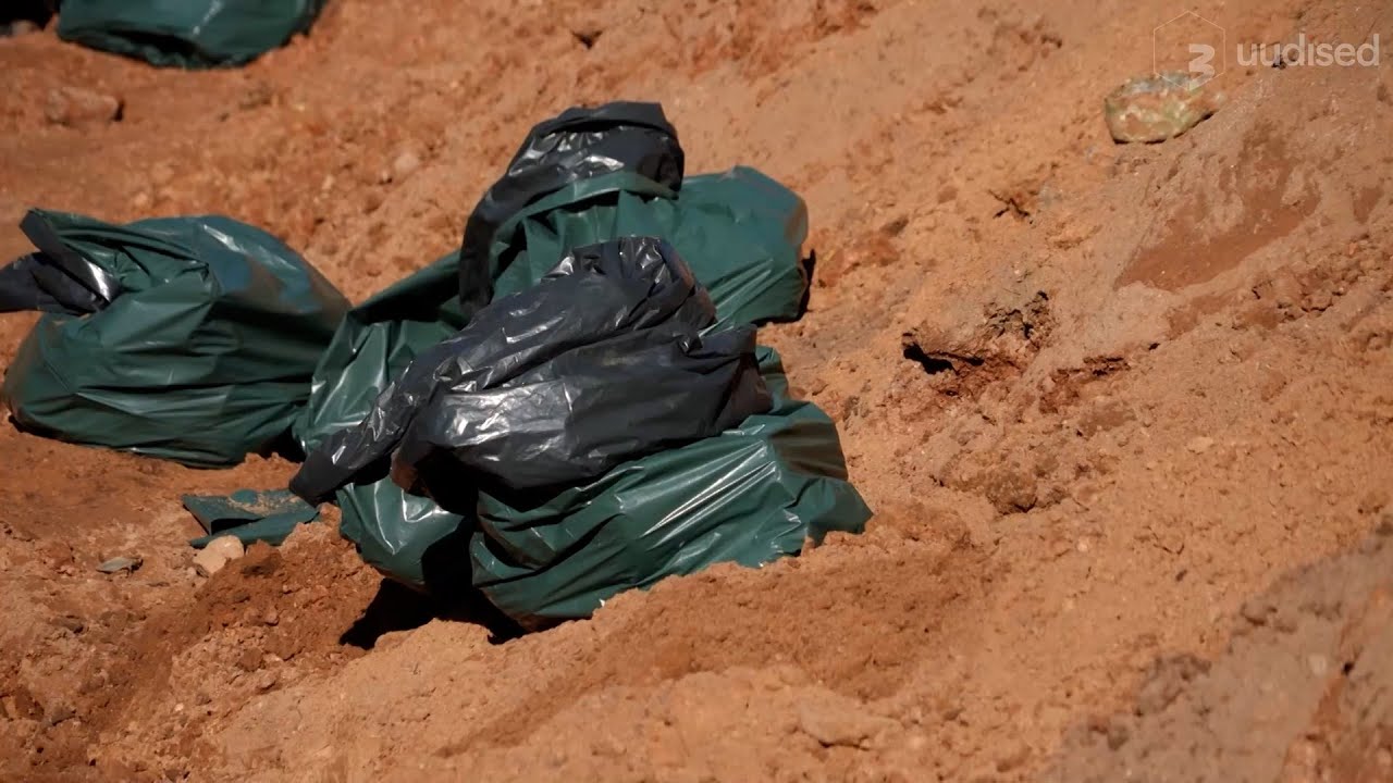 Mis saab Eesti katkusigadest?