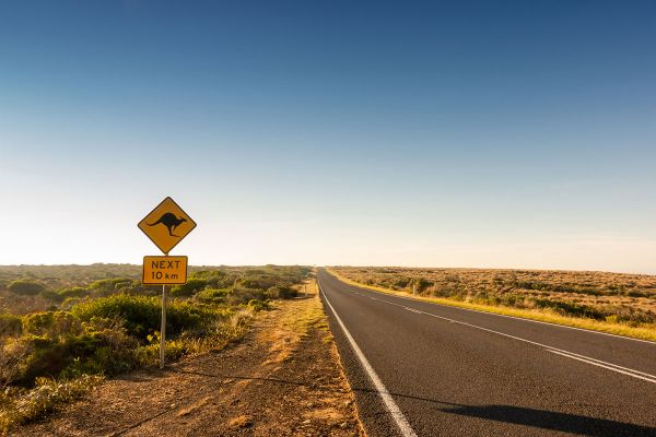 Austraalia ralli jääb ära