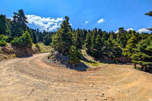 Kreeka ralli avab WRC hooaja otsustava kruusaseeria Kreeka ralli avab WRC hooaja otsustava kruusaseeria