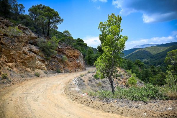 Kreekas algab WRC kruusakatsete maraton - Akropolise ralli