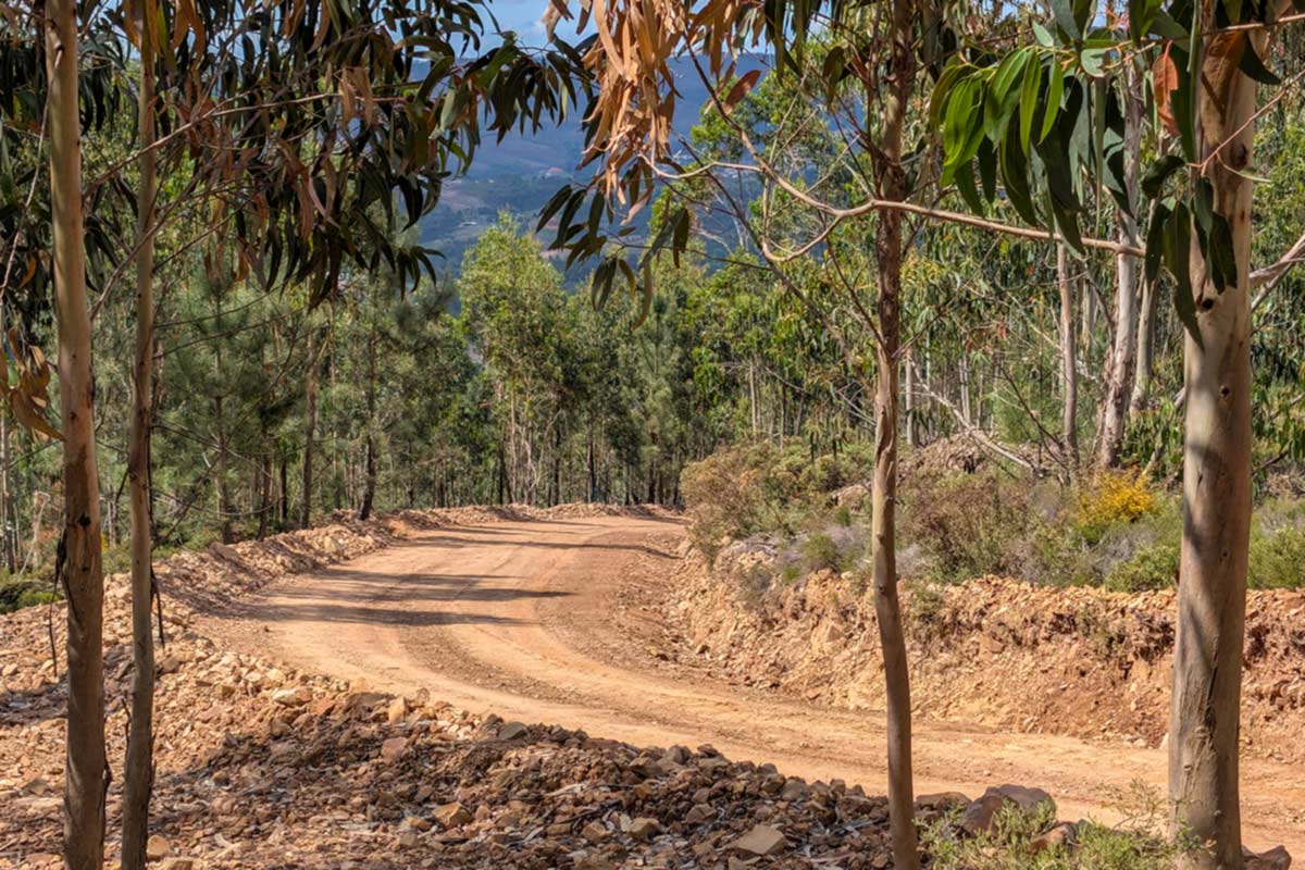 Portugali ralli viib WRC-karusselli tagasi legendaarsetele kruusateedele Portugali ralli viib WRC-karusselli tagasi legendaarsetele kruusateedele