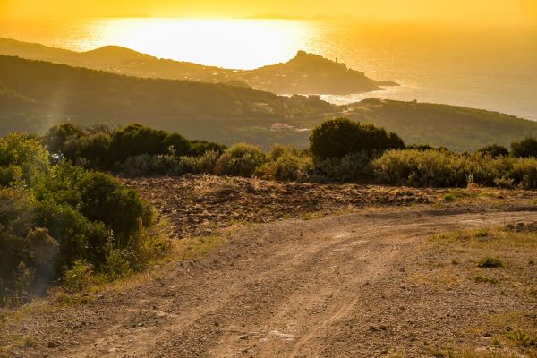 Powerstage Sardiinia ralli 2025 eelne podcast