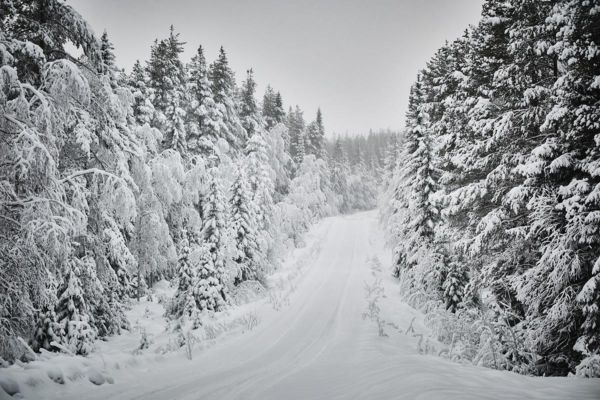 Rootsi ralli 2026 toob WRC-karusselli talvistesse oludesse, Solberg stardib koduteedel liidrina