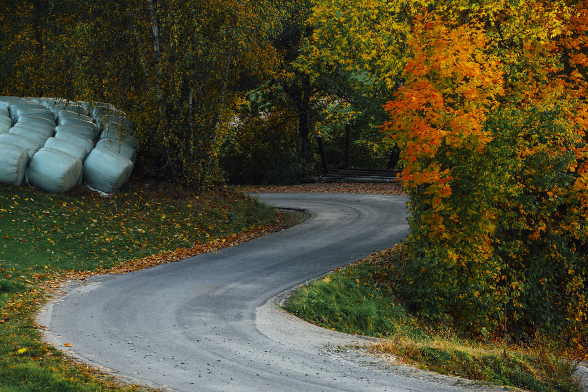 Sellel nädalalõpul sõidetakse 2023. aasta WRC-sarja kaheteistkümnes etapp - Kesk-Euroopa Ralli