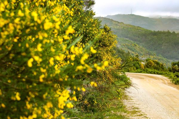 WRC-hooaeg jätkub Portugalis – ees ootab üks aasta raskemaid kruusarallisid