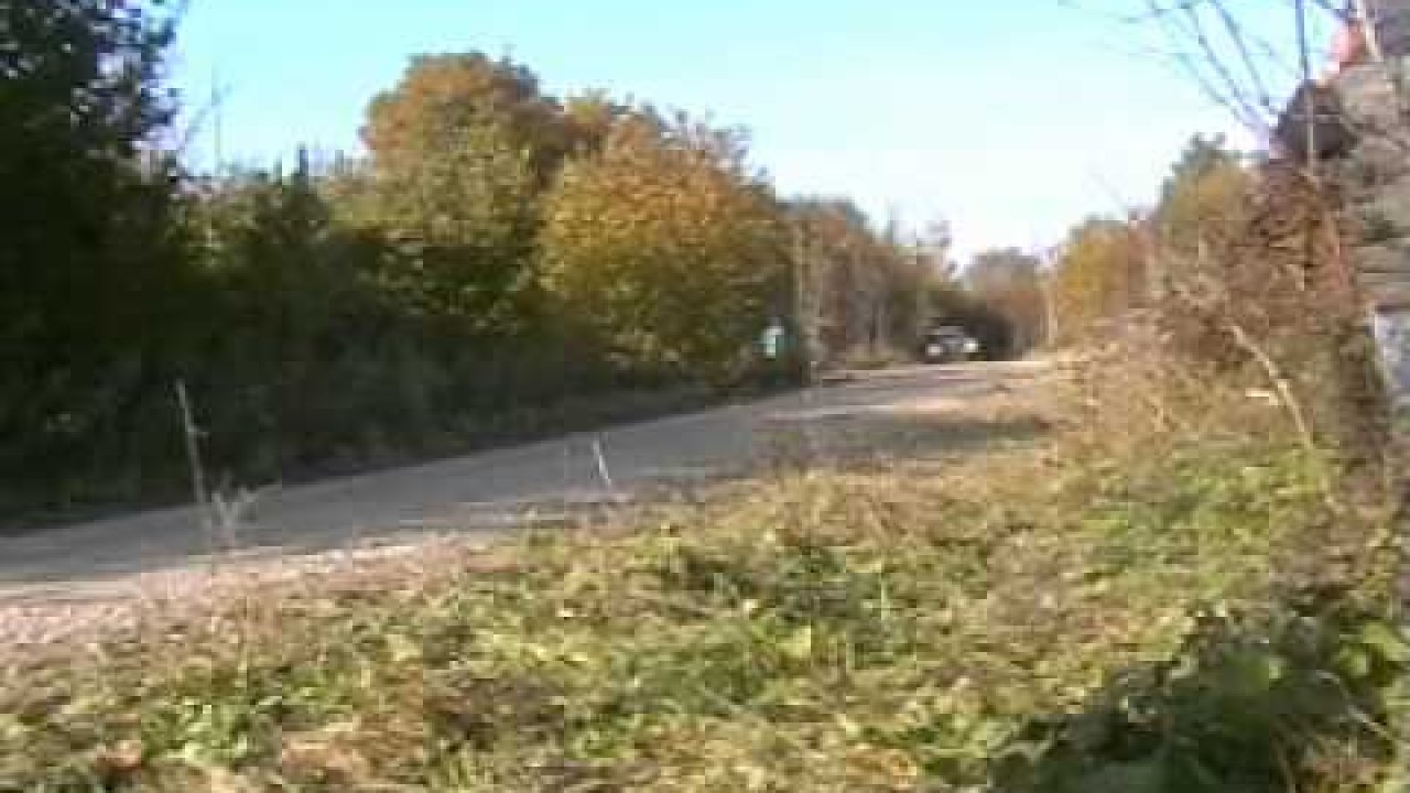 Saaremaa Ralli 2010 - 2. päev ja testikatse