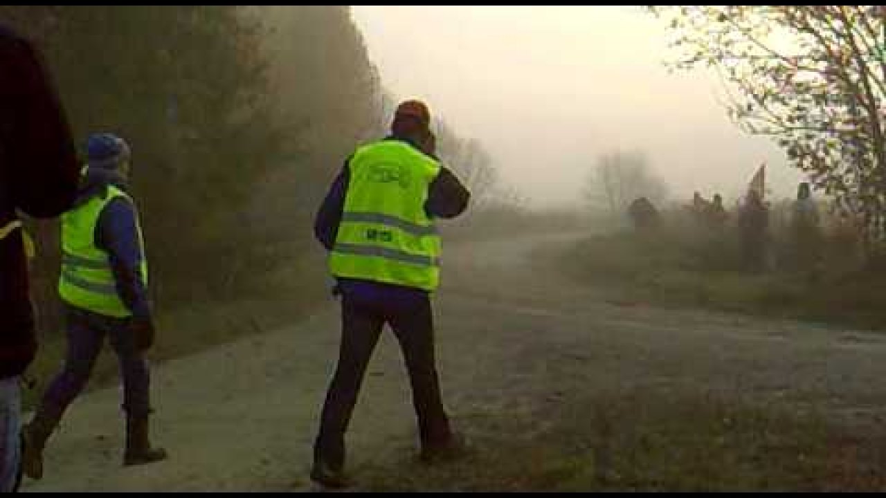 Saaremaa Ralli 2010 - 2. päev, Saliuki väljasõit, pikem