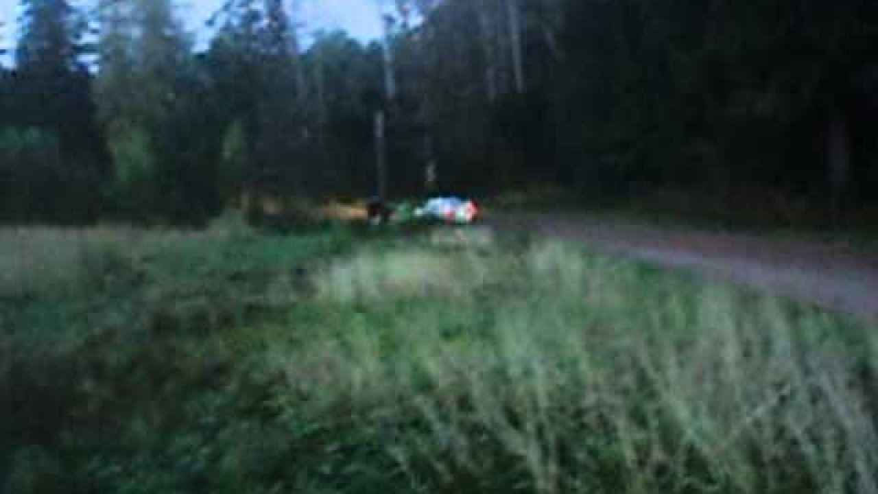 Olerex Mulgi Rally 2010 - 1. päev, SS2