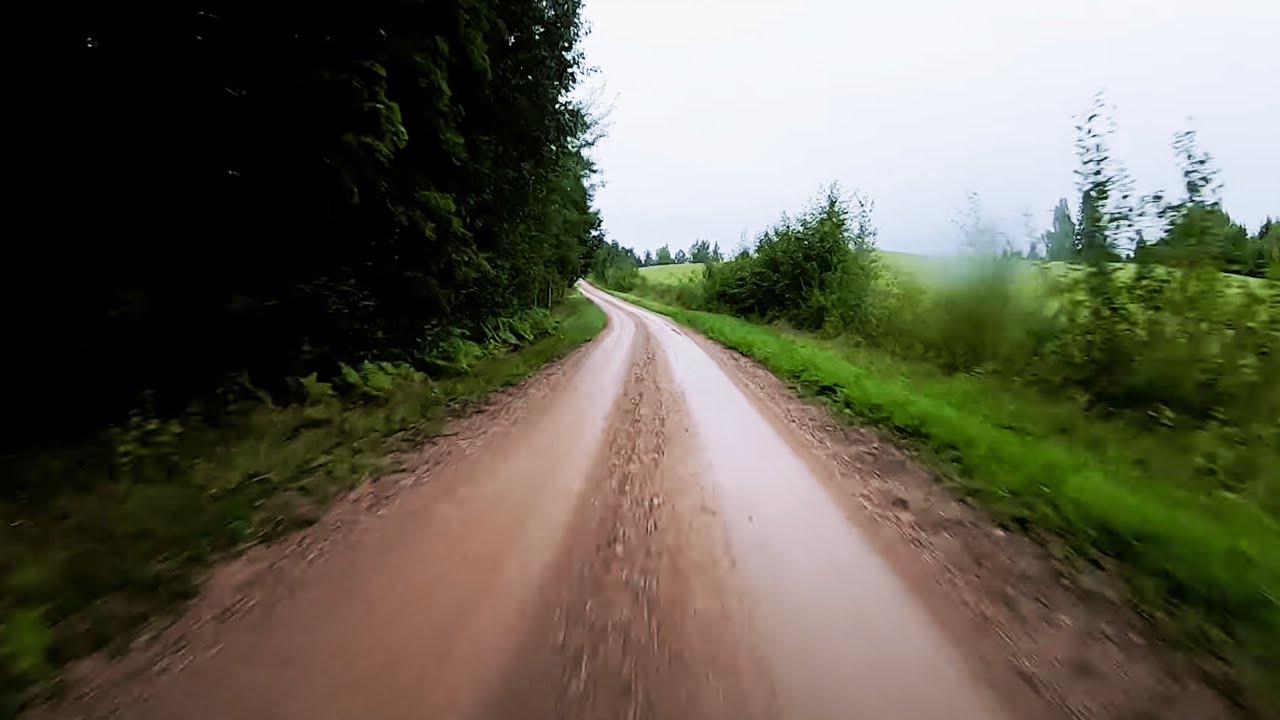 Rally Estonia kiiruskatsete olukord