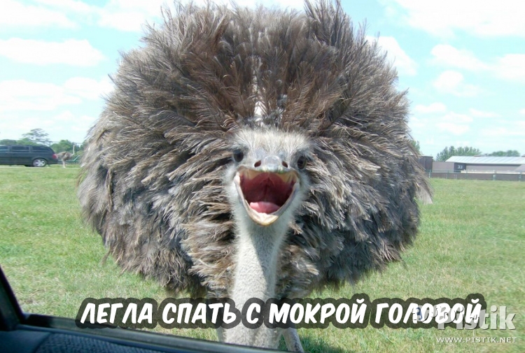 Легла спать с мокрой головой...