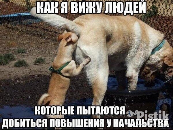 Как я вижу людей, которые пытаются...