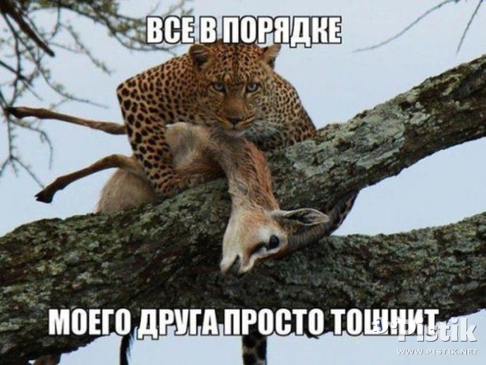 Всё в порядке, моего друга просто тошнит...