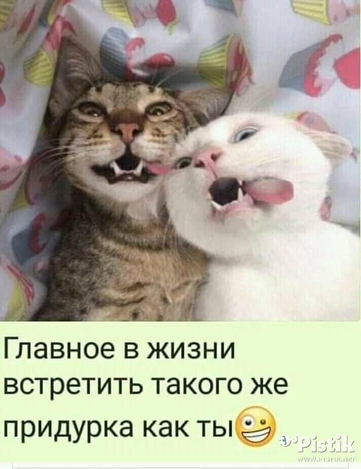 Главное  в жизни...