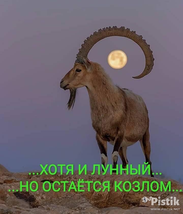 Хотя и лунный..