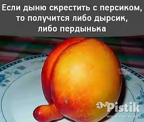 Если дыню скрестить с персиком...