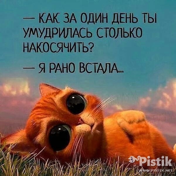 – Как за один день ты умудрилась столько накосячить?