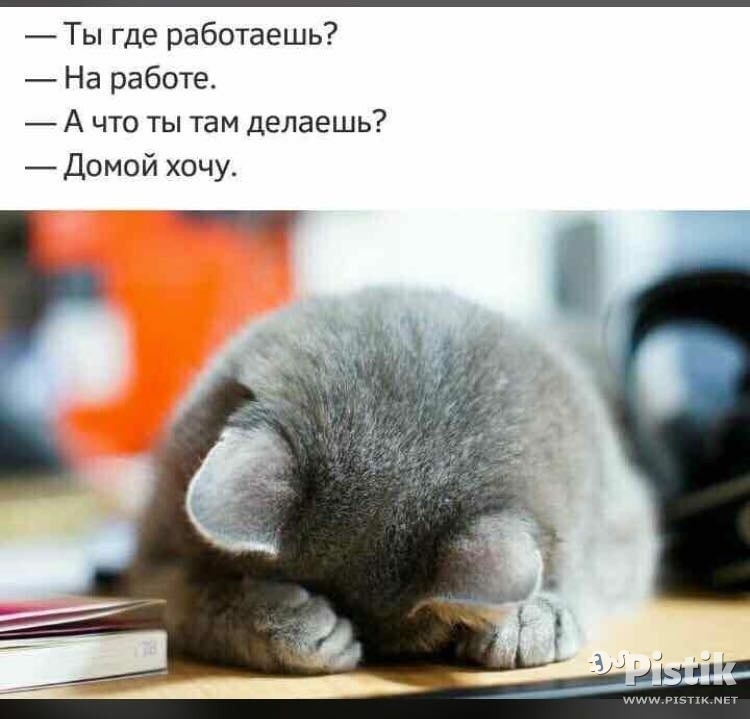 Ты где работаешь?