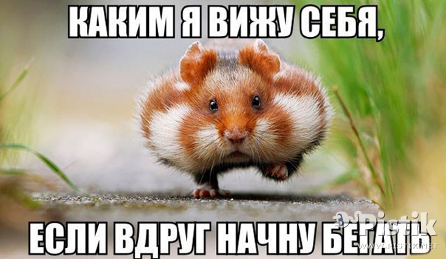 Каким я вижу себя...