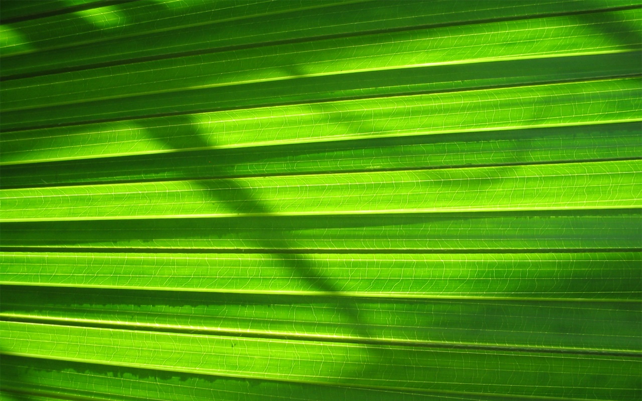 vista_08