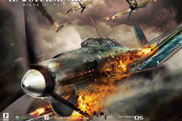 il 2 birds of prey – taustapilt