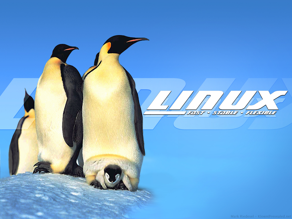 linux 1