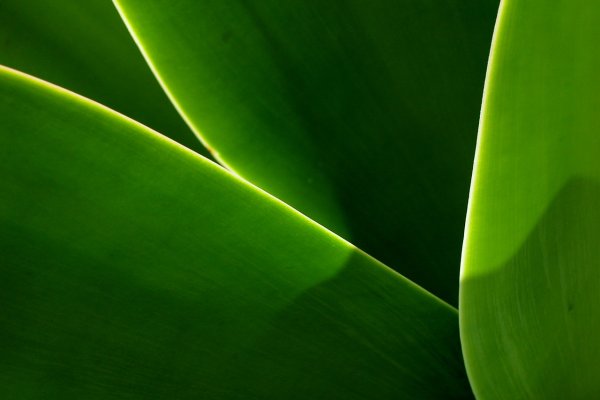 vista 09 – taustapilt