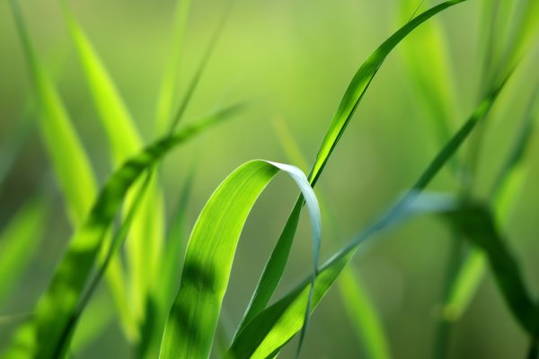 vista 07 – taustapilt